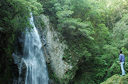 大滝自然森林公園