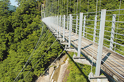 白水滝の吊橋